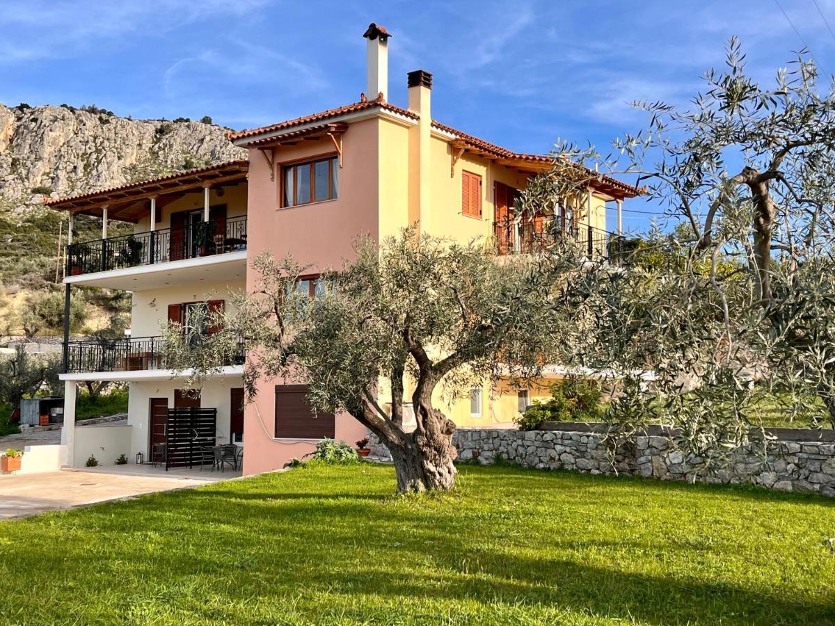 Ενtree Guest House Near Palamidi Castle Нафплион Экстерьер фото