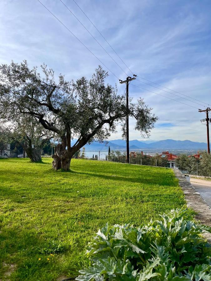 Ενtree Guest House Near Palamidi Castle Нафплион Экстерьер фото